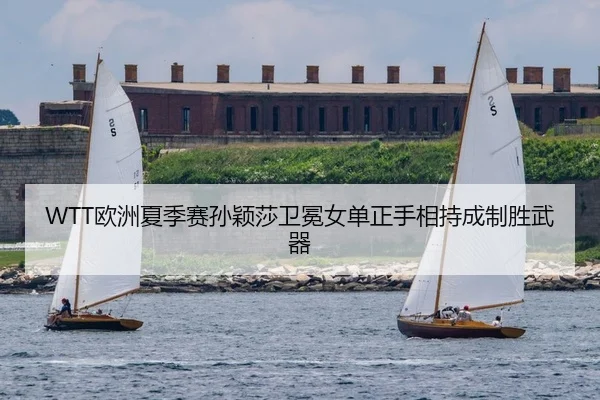 ou-zhou-xia-ji-sai-sun-ying-sha-wei-mian-nv-dan-zheng-shou-xiang-chi-cheng-zhi-sheng-wu-qi-2-154.jpg